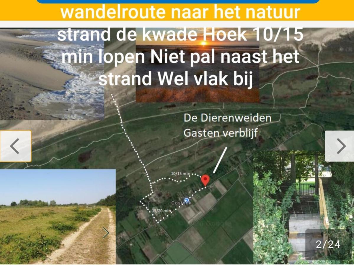 De Dierenweiden Goedereede Esterno foto